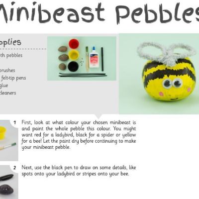 Minibeast pebbles 1